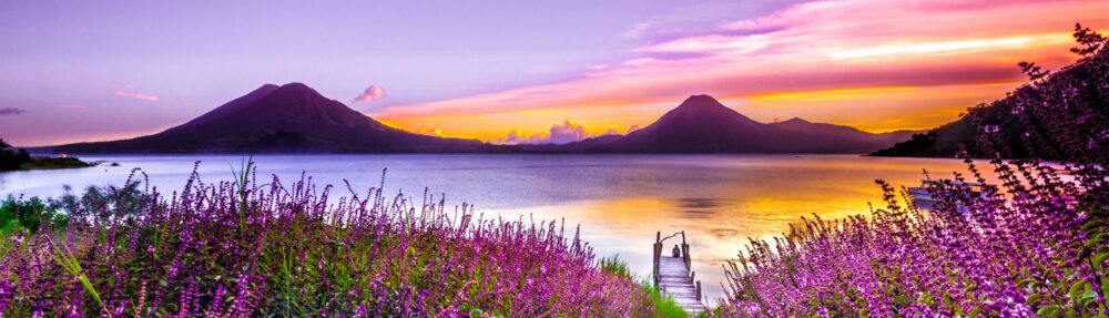 Tania Ferdous Portfolio