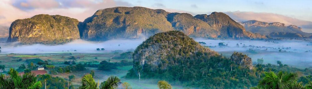 Tania Ferdous Portfolio