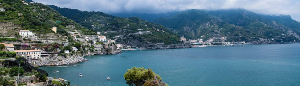 Tania Ferdous Portfolio